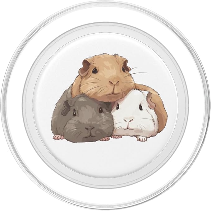 Cute Guinea Pigs PopSockets Adhesive PopGrip