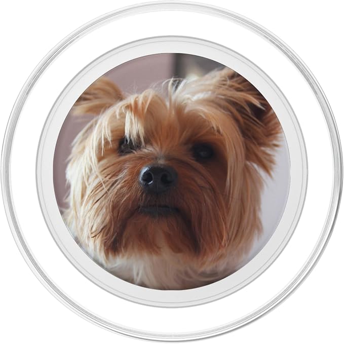 Yorkie Yorkshire Terrier PopSocket Adhesive PopGrip by CJ Grips