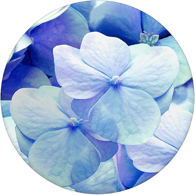 Beautiful Blue Hydrangea flowers floral garden art PopSockets PopGrip: Swappable Grip for Phones &amp Tablets