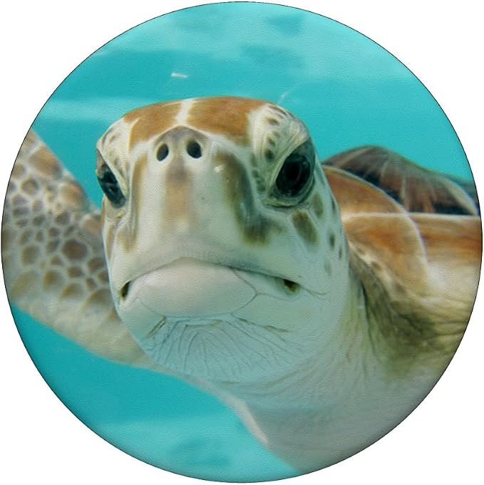 Pop out Cell Phones holder underwater Ocean Sea Turtles PopSockets Adhesive PopGrip
