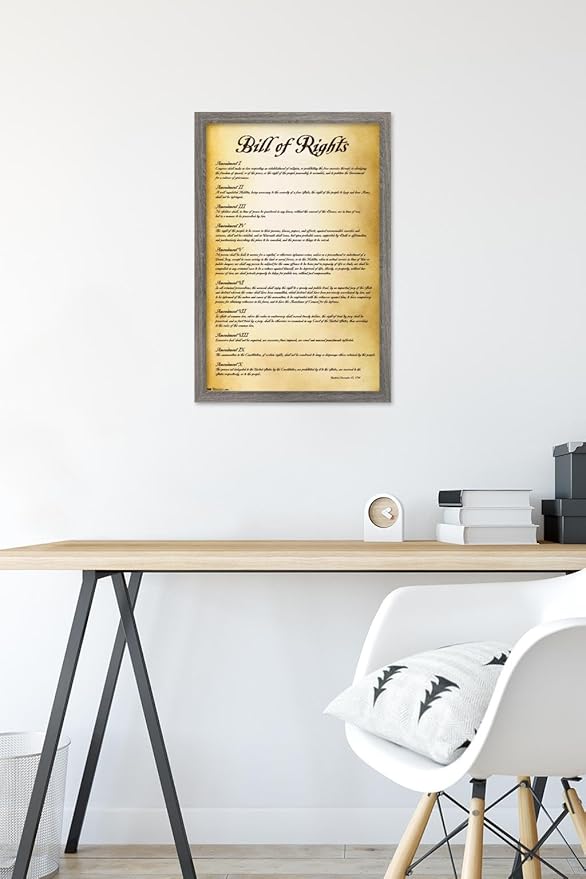 Trends International The United States of America - Bill of Rights Wall Poster, 14.725" x 22.375", Barnwood Framed Version