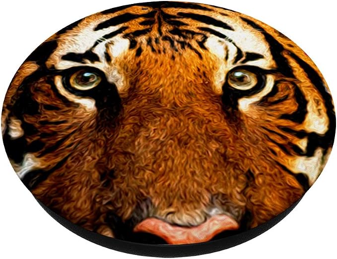 Tiger Eyes and Face - Tiger