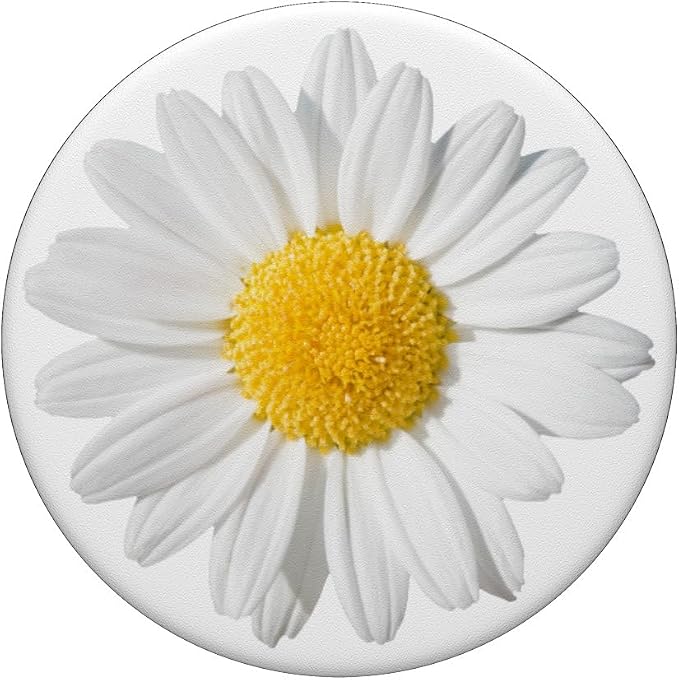 Cute White Daisy Flower Yellow So Pretty On White Background PopSockets PopGrip: Swappable Grip for Phones &amp Tablets