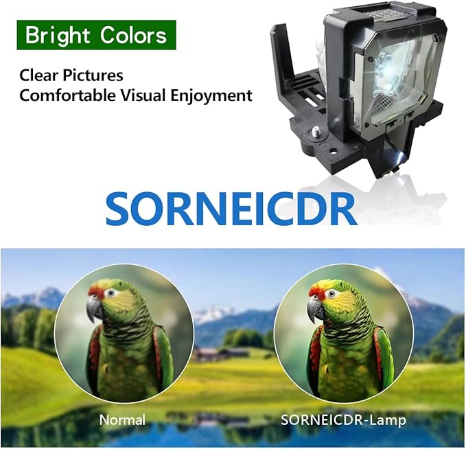 SORNEICDR PK-L2210UP PK-L2210U Replacement Projector Lamp Bulb Compatible with JVC DLA-RS45U DLA-RS45 DLA-RS55 DLA-RS30 DLA-X30 DLA-X7 DLA-X3, with Housing