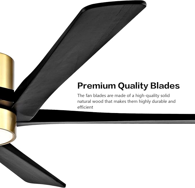 WINGBO 64 Inch DC Ceiling Fan with Lights and Remote Control, 5 Reversible Carved Wood Blades, 6-Speed Noiseless DC Motor, Modern Ceiling Fan in Brass Finish with Balck Blades, ETL Listed