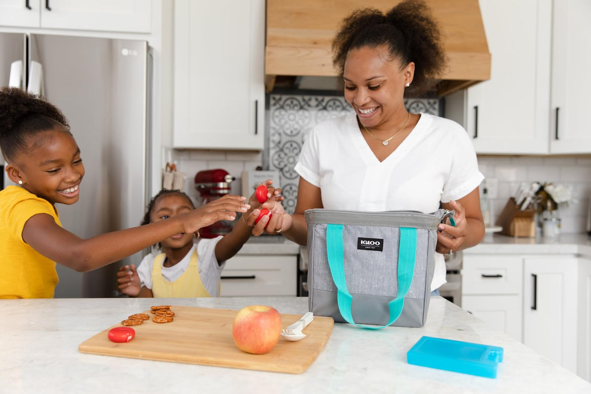Igloo Maxcold Ice Blocks, Reusable Ice Packs for Coolers, Freezer Pack, Cold Packs for Coolers, Long Lasting Ice Blocks