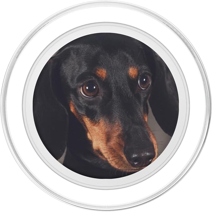 Dachshund PopSockets Adhesive PopGrip