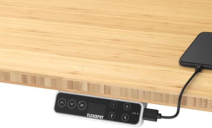 FLEXISPOT E6 Pro Oval Leg Dual Motor 3 Stages Bamboo Electric Standing Desk 60x30 Inch Whole-Piece Board Height Adjustable Electric Sit Stand Up Desk (White Frame + Bamboo Curved Desktop)