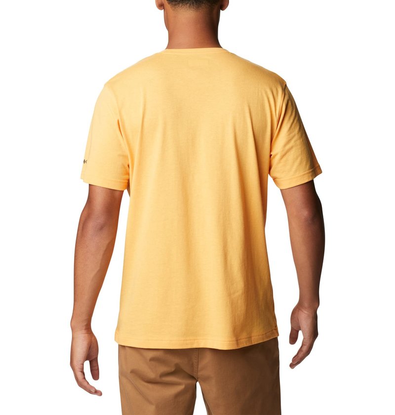 Columbia Men's Thistletown Hills Graphic Short Sleeve, Mango Heather/Hikers Graphic, 3X Big