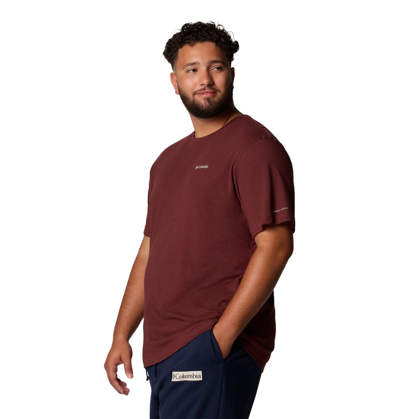 Columbia Men's Thistletown Hills Short Sleeve T-Shirt, Spice Heather, X-Large