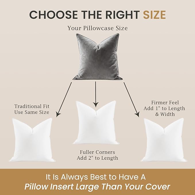 BHZ Euro Throw Pillow Inserts, 16x16 Down Feather Alternative Pillow Inserts Set of 2, Decorative Soft Large Square White Throw Pillows Insert for Couch Bed Dorm Sofa with Cotton Cover