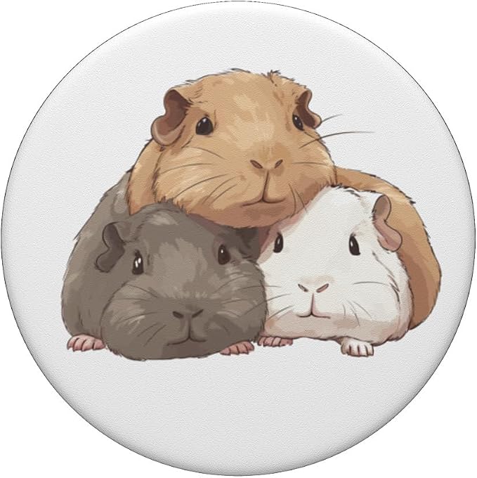 Cute Guinea Pigs PopSockets Adhesive PopGrip