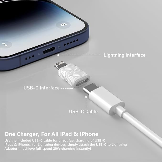 20W Dula Port USB C Fast Charger for iPad A16/10th Generation iPad Pro 13/12.9/11 inch iPad Air 13/11 inch/4/5th iPad mini iPhone Foldable Compact Charger with 6.6FT USB C Charging Cable