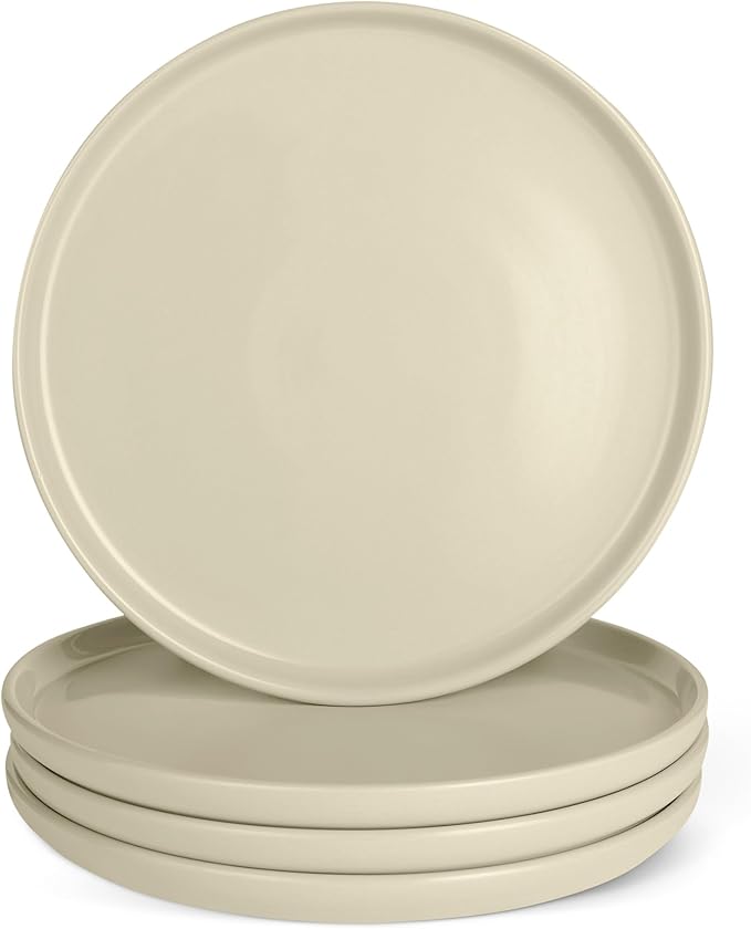 Amazon Basics Glazed Stoneware Dinner Plates, Ceramic 4-Piece Set, Microwave and Dishwasher-Safe, 10.5 in., Ivory