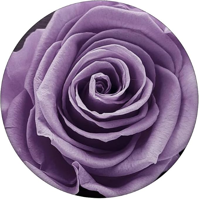 Lavender Rose PopSockets Adhesive PopGrip