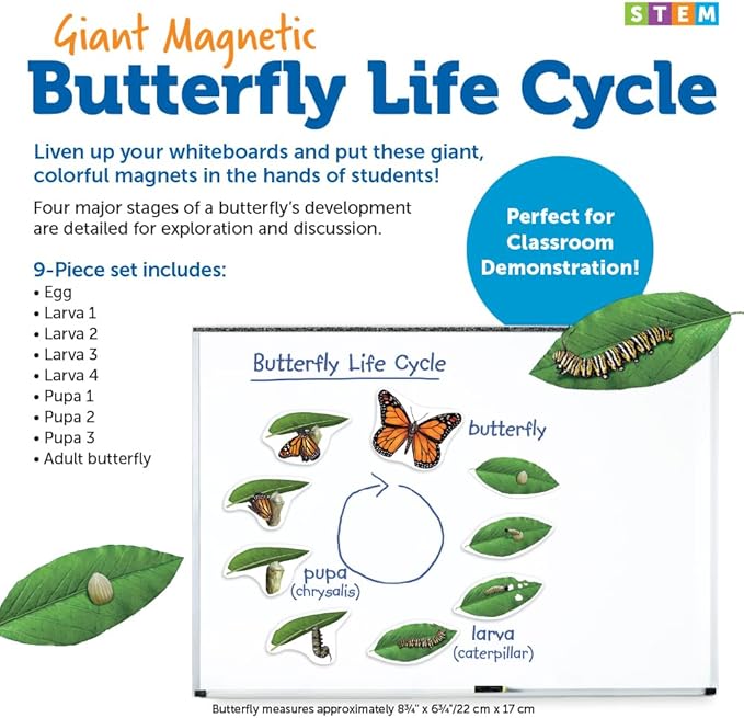 Learning Resources Giant Magnetic Butterfly Life Cycle - Write-and-Wipe Teaching Aids and STEM Decor, Butterfly Life Cycle Models, Dry Erase Accessories for Homeschool or Classroom