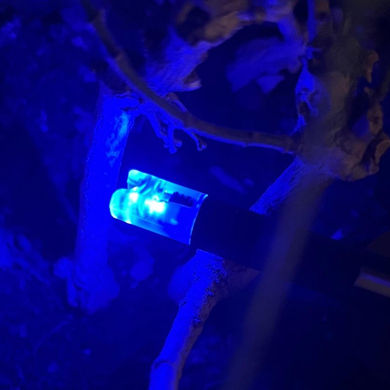 CosiComu Lighted Nocks for Crossbow with .300 Inside Diameter with ON/Off Switch Arrow nocks for Archery Hunting 6 Pack (Blue)