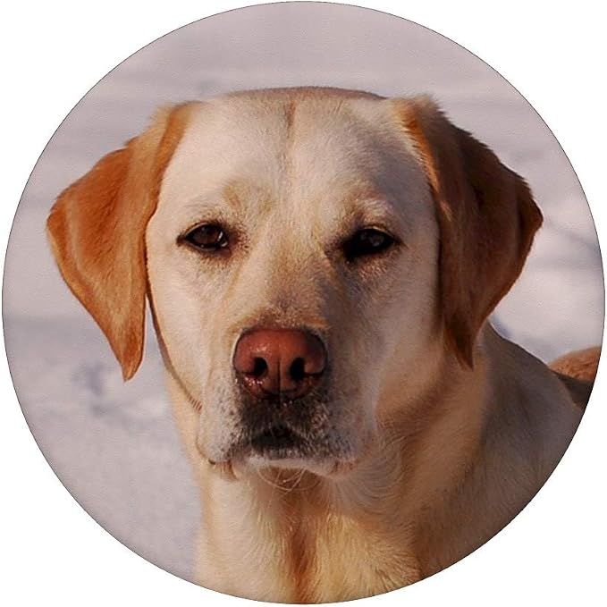 Yellow Labrador Retriever Pet Lab Dog PopSockets Grip and Stand for Phones and Tablets