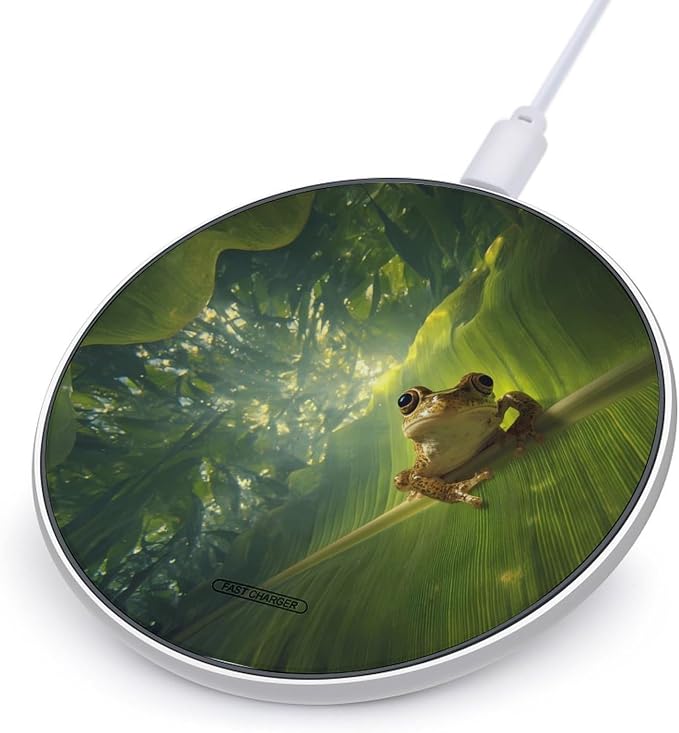Frog Wireless Charger SlimWireless Charging Pad Anti-Slip Charger Mat for Men Women