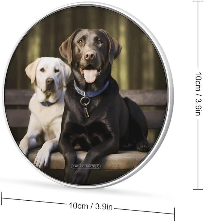 Labrador Wireless Charger with Aluminum Alloy Frame Qi Certified Fast Wireless Charging Pad 10W Charging Station Portable Phone Charger for All Wireless Charging Phone