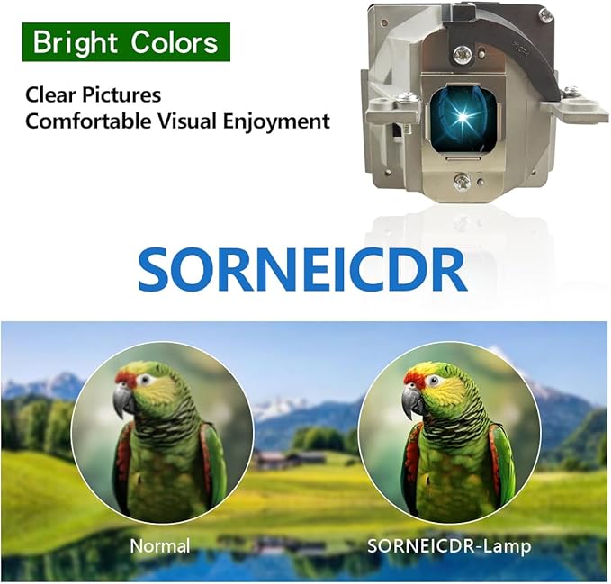 SORNEICDR SP LAMP-025 Replacement Projector Lamp Bulb Compatible with INFOCUS IN72 IN74 IN74EX IN76 IN78 Projectors, with Housing