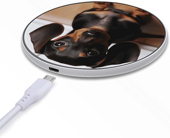 Cute Wiener Sausage Dog Wireless Charger with Aluminum Alloy Frame Qi Certified Fast Wireless Charging Pad 10W Charging Station Portable Phone Charger for All Wireless Charging Phone