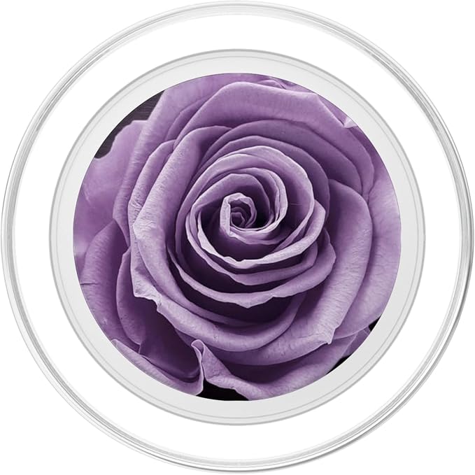 Lavender Rose PopSockets Adhesive PopGrip