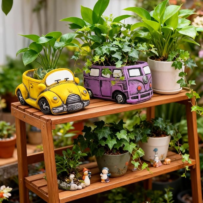 Cute Cacti & Succulent Plants Pot, Succulent Decor Planter Pot Indoor/Outdoor