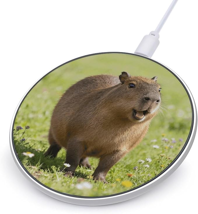 Funny Capybara Wireless Charger Fast Charging Pad | Anti-Slip Qi Certified Wireless Charging Pad for All Phones with Wireless Charging Function for Home Office Travel