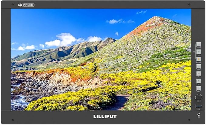 LILLIPUT 17.3" Q17 FHD PRO SDI Filmmaking Monitor 3D Lut HDR Waveform/Vector/Histogram/4 Bar Display/Audio Vector/Level Meter with Gold mount and 19" rack mount ears by VIVITEQ