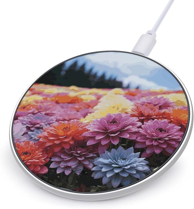 Rainbow Flower Sea Wireless Charger 10W Portable Fast Wireless Charging Pad Compatible with Phone Slim Charging Station Lightweight Charger Mat Charging Block for Travel Home Office
