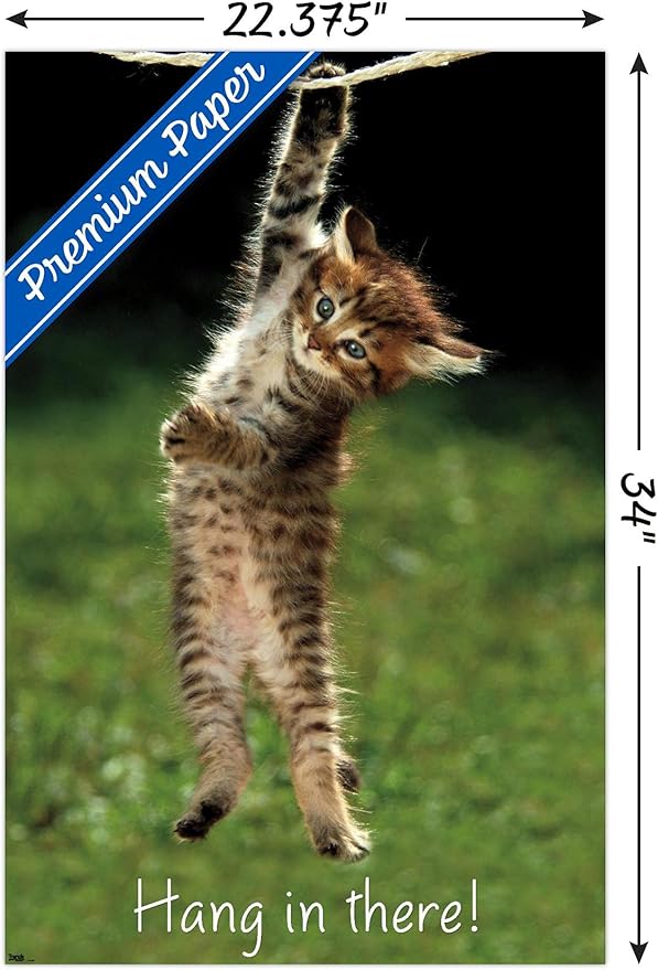 Trends International Kitten-Hang in There Premium Wall Poster, 22.375" x 34"