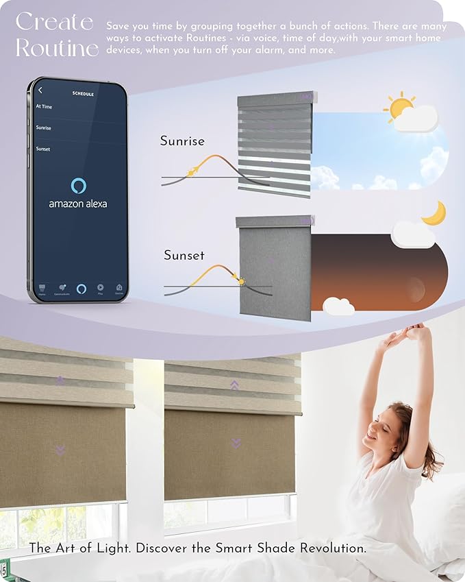 Graywind Smart Dual Shades Compatible with Alexa Google Homepod Motorized Double Zebra Blinds Matter Solar Powered, Custom Size (Coffee)