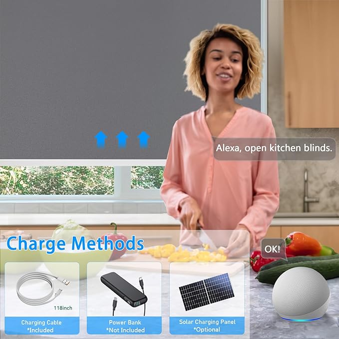 COOLWINDS Motorized Blinds with Remote Cordless Automatic Motorized Shades Custom Blinds for Windows Smart Curtains Compatible with Alexa Google Home(Blackout Thunder Grey,W26 x H72in)