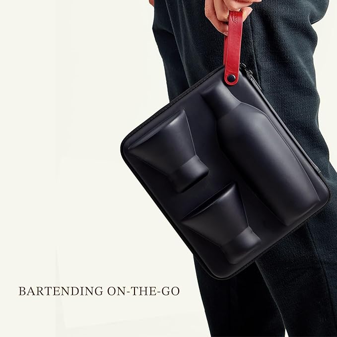 KITESSENSU Cocktail Shaker Set with to-Go Carry Case & 2 Martini Glasses