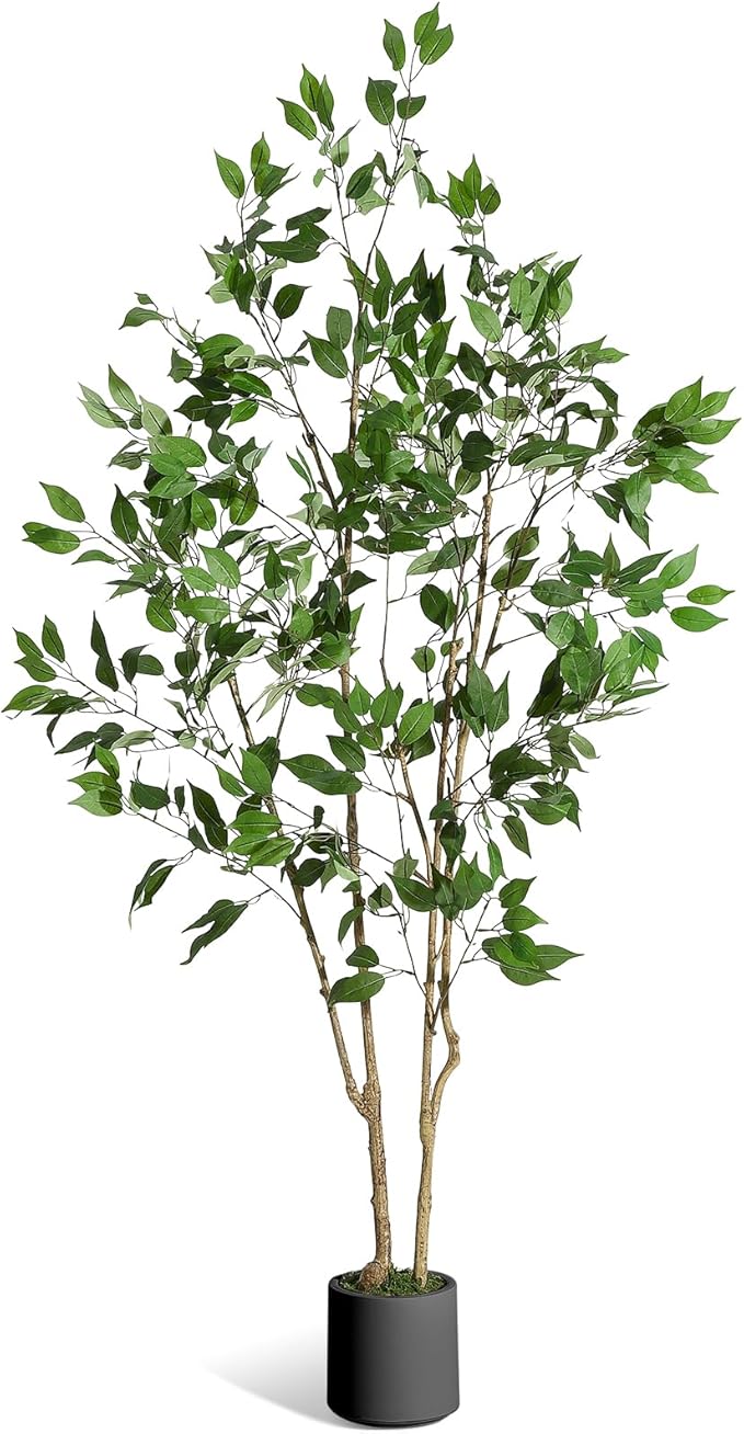 6FT Ficus Trees Artificial Indoor, Faux Silk Plant with Natural Wood Trunk and Lifelike Fruits, Black Imitation Ceramic Planter with Green Fake Moss for Modern Home Office Living Room Decor