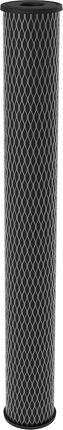 Pentair Pentek C1-20 Carbon Water Filter, Whole House Dual Purpose Powdered