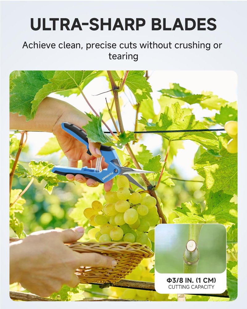 Fondwell 6.5" Pruning Shears Trimming Scissors: 2 Pack Straight & Curved Garden Snips with Micro Tip - Premium Plant Clippers for Precision Cutting