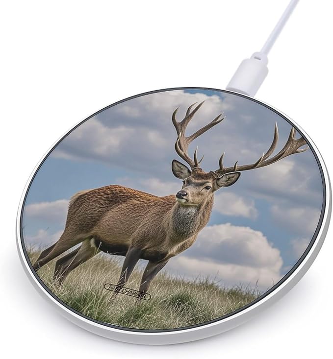 Elk Wireless Charger Fast Charging Pad | Anti-Slip Qi Certified Wireless Charging Pad for All Phones with Wireless Charging Function for Home Office Travel