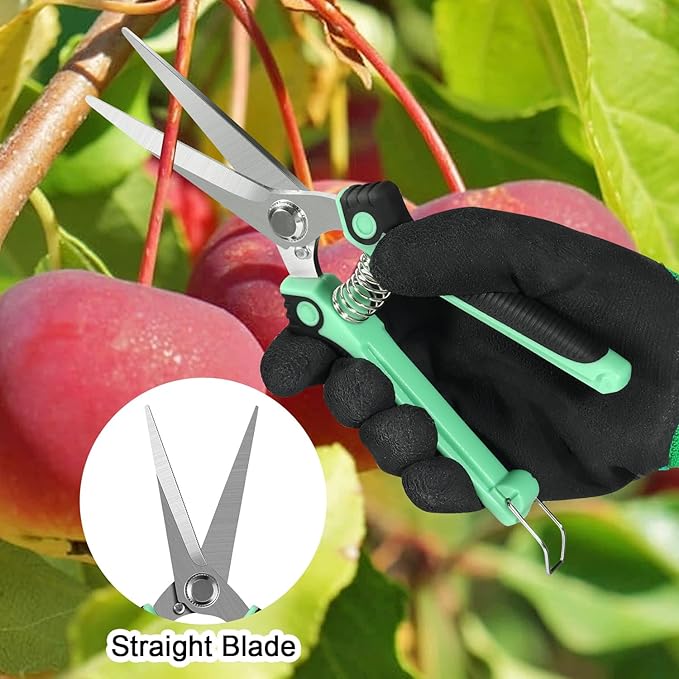 4 Pack Garden Shears Scissors,Pruning Shears, pruning shears for gardening Stainless Steel Blades, Gardening Clippers Hand Pruner With a Gardening Gloves((Red Yellow Blue Orange)