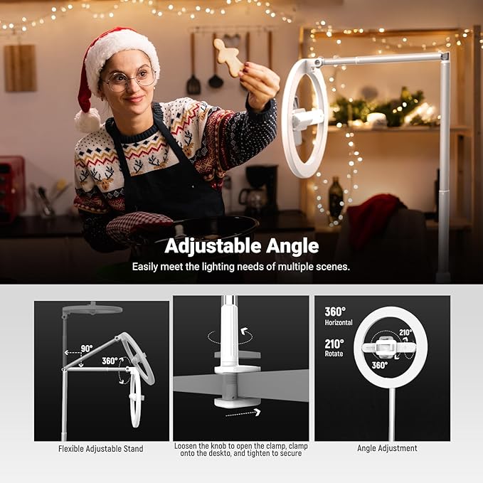NEEWER Entry Level Version 10" 7W LED Selfie Ring Light with Desk Clamp Stand Phone Holder for iPhone, Laptop Video Conference Streaming Recording Makeup Lighting, 3 Tones 3000mAh Rechargeable, N16