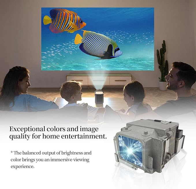 SORNEICDR ELP LP65 Replacement Projector Lamp Bulb Compatible With Epson EB-1760W 1761W 1751 1771W PowerLite 1776W 1761W 1771W 1750 1775W