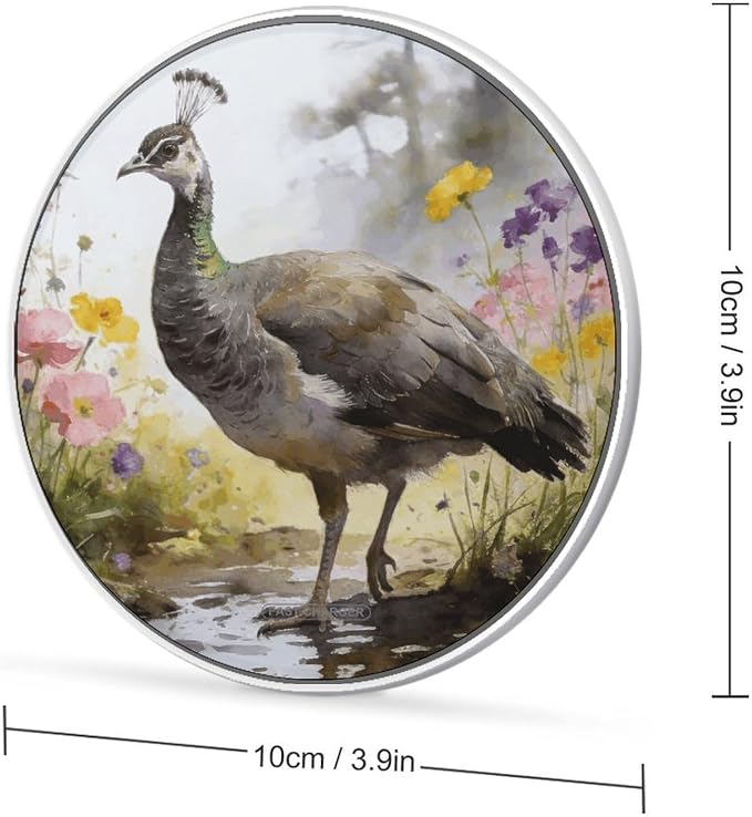 Sparrow's Feather Grows Wireless Charger Fast Charging Pad | Anti-Slip Qi Certified Wireless Charging Pad for All Phones with Wireless Charging Function for Home Office Travel