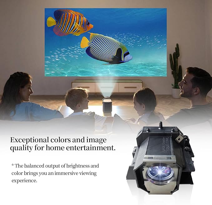 SORNEICDR ELP LP39 Replacement Projector Lamp Bulb Compatible with Epson EMP-TW1000 TW2000 TW700 TW980 PowerLite Home Cinema 720 1080UB PowerLite PC 810 Projectors, with Housing