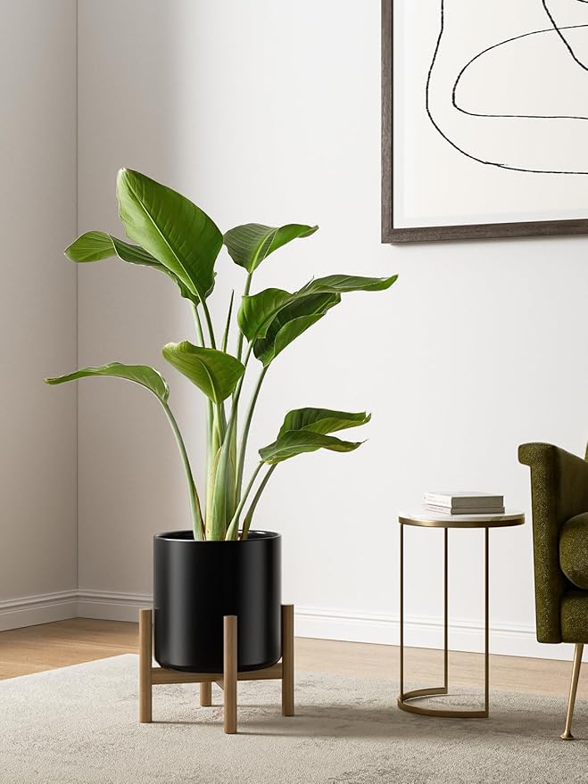 LE TAUCI Ceramic Pots for Plants, 10+8+6 Inch Indoor Plant Pots, Modern Planters for Indoor Plants Home Office, Cylinder Planters with Drainage Hole and Plug, Set of 3, Black