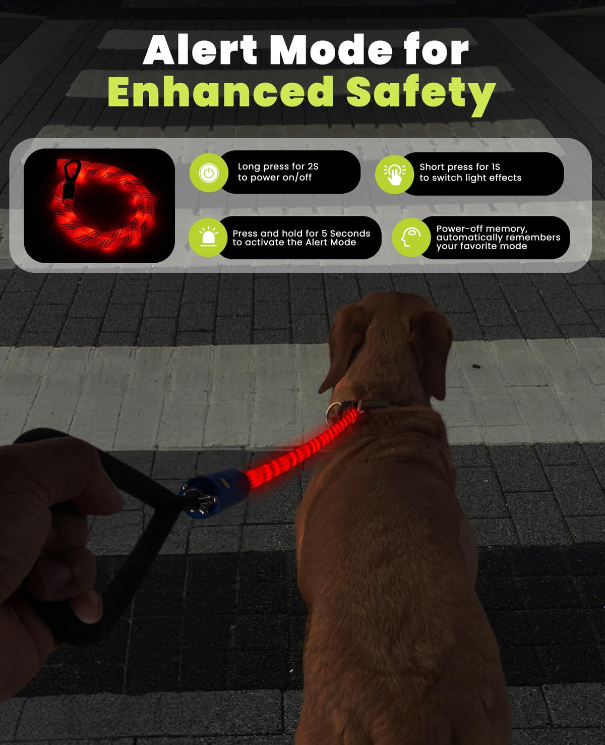 Xeuch Light Up Dog Leash, LED Pet Leash for Night Walking,13 Lighting Modes, Rechargeable Dog Lights, Glow in The Dark Walking Leashes with Tangle-Free Hook for Medium Large Dogs (Leash-5Ft)