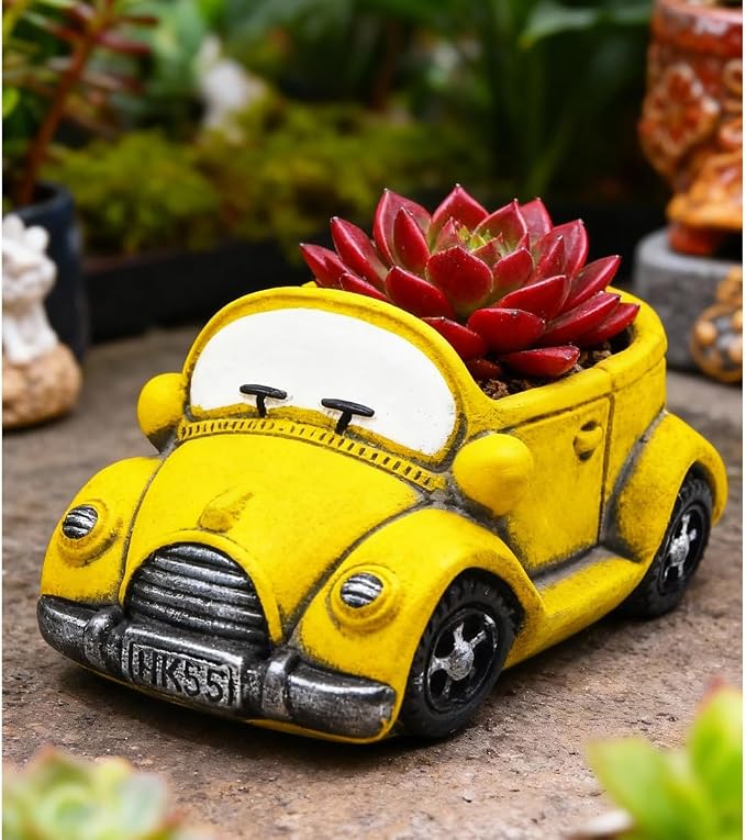 Cute Cacti & Succulent Plants Pot, Succulent Decor Planter Pot Indoor/Outdoor