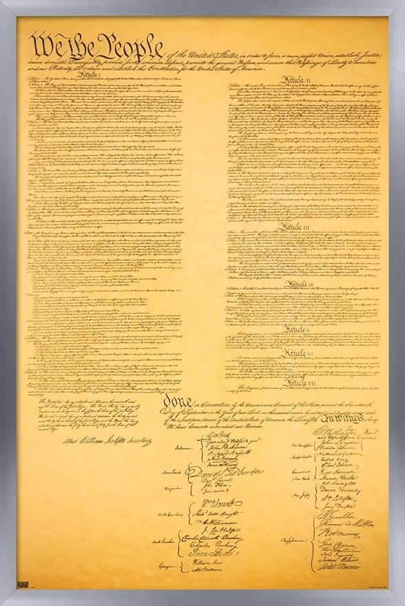 Trends International The Constitution Wall Poster, 14.725" x 22.375", Silver Framed Version