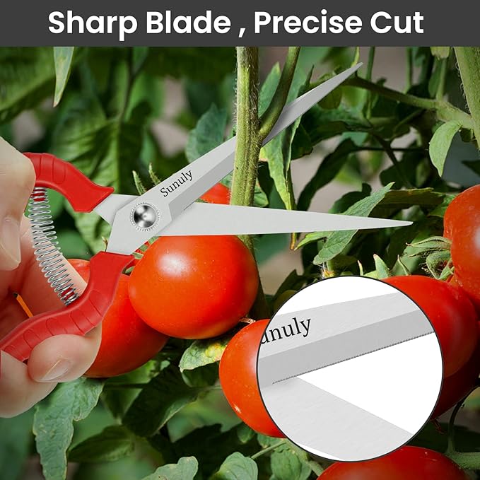 Extra Long Pruning Shears, Gardening Hand Pruners with Stainless Steel Blades, Garden scissors for Arranging Flowers, Trimming Plants, Harvesting Herbs, Fruits or Vegetables, 9.5IN