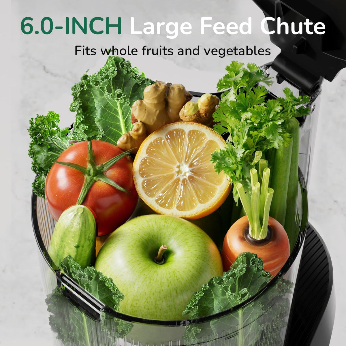 Canoly 3-in-1 Cold Press Juicer C16, Makes Juice & Sorbet & Nut Milk